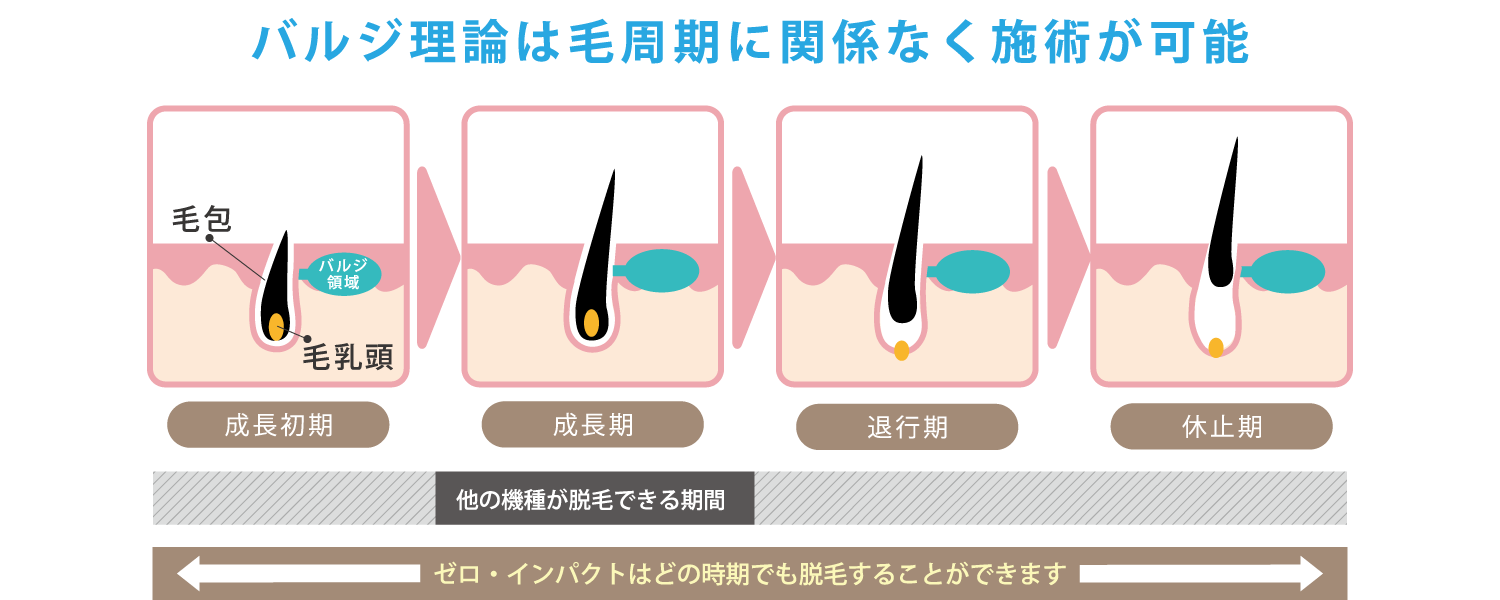 バジル理論はもう周期に関係なく施術可能